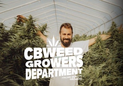 La production de A à Z