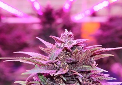 Intérieur ou extérieur  